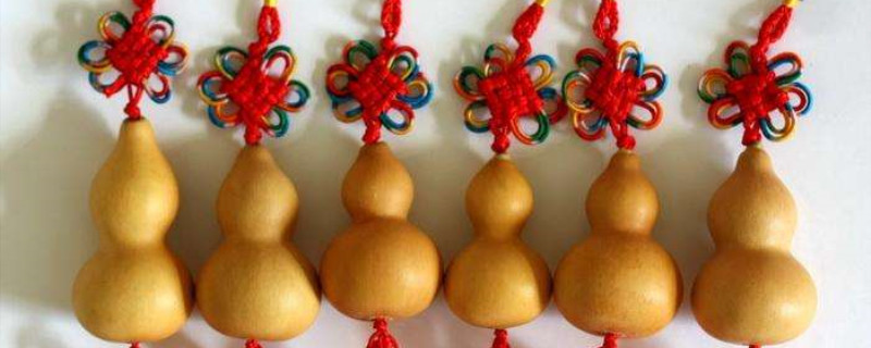 文玩葫芦怎么种(文玩葫芦怎么种的小)