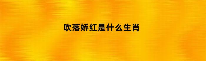 吹落娇红是什么生肖(七政四余看配偶长相)