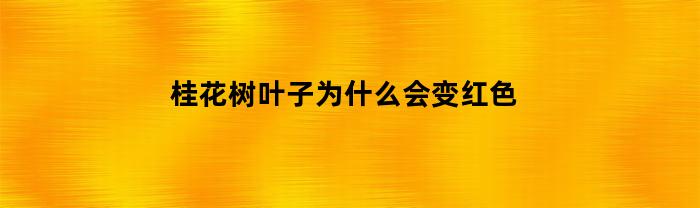 桂花树叶子为什么会变红色(桂花树叶发黑是什么原因)