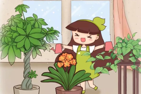 茉莉长寿爆盆10年全靠这句话不知道亏大了！(垂丝茉莉的养殖方法和注意事项)