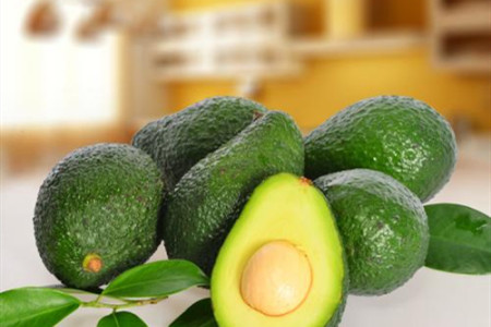 牛油果怎么种才能发芽