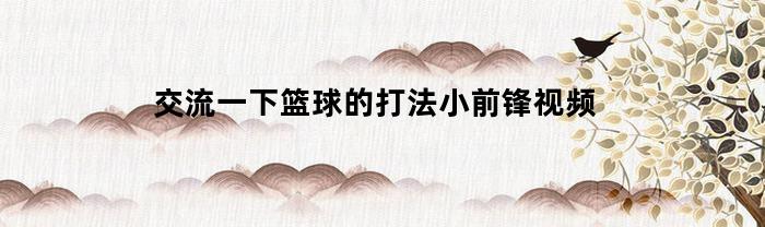 交流一下篮球的打法小前锋视频(篮球小前锋的位置和打法教程)