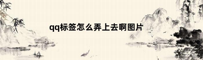 qq标签怎么弄上去啊图片(qq里的标签怎么弄图片)