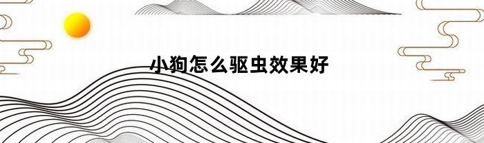 小狗怎么驱虫效果好(小狗如何驱虫)