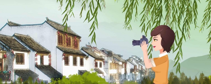 数码相机品牌排行榜数码相机十大品牌排行(数码相机品牌介绍)