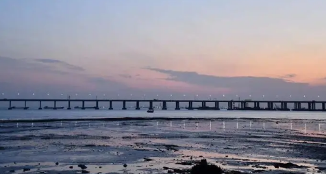 深圳今冬冷吗2024深圳的冬天是什么样(深圳今年冬天冷不冷)