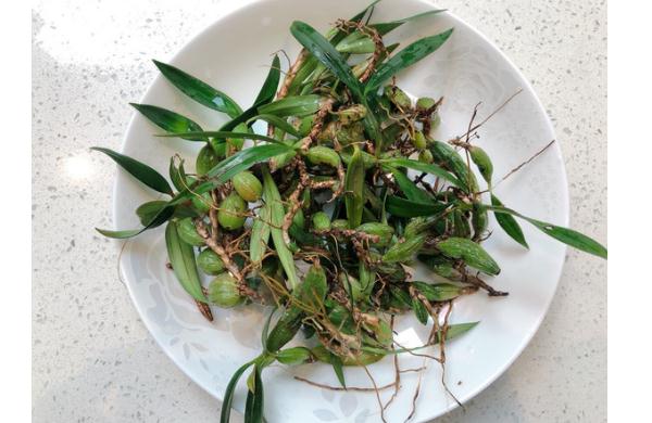 石橄榄有什么功效?有什么食用禁忌?