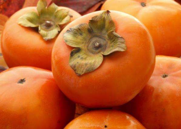 吃了柿子可以吃火锅吗