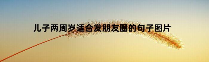 儿子两周岁适合发朋友圈的句子图片(儿子两周岁了怎么发朋友圈)