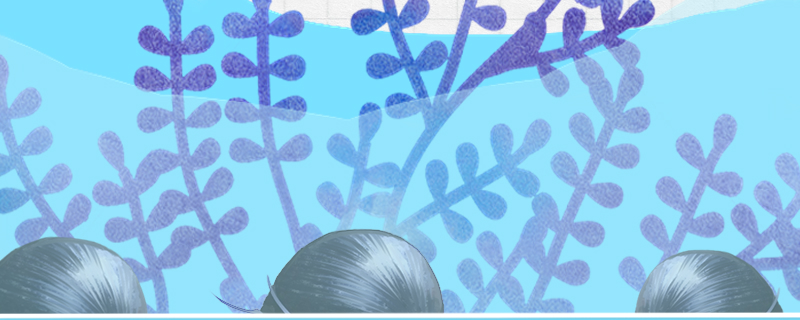 黑金刚螺吃什么多久喂一次(黑金刚螺能活多久)