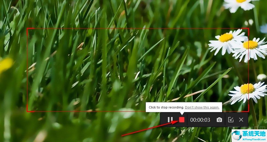 recorder录屏(录屏iso)