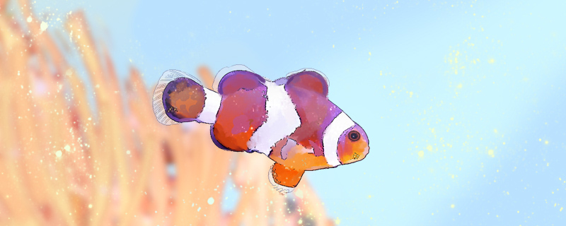 鱼会饿死吗鱼多久不吃东西会饿死(鱼能饿几天不吃)