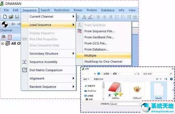 dnaman的图怎么导出(dnastar序列比对导出结果)
