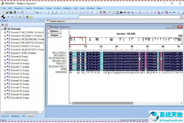 dnaman的图怎么导出(dnastar序列比对导出结果)