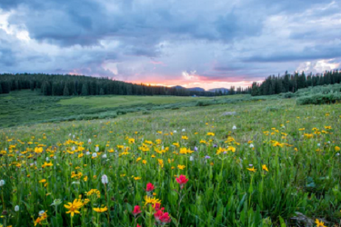 淘宝商品下架属于什么问题呢