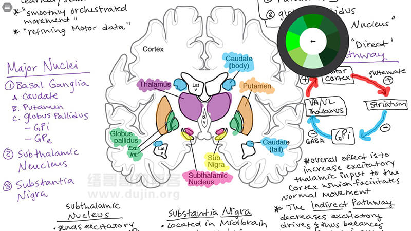 drawboard pdf 安卓版(drawboard pdf百度百科)