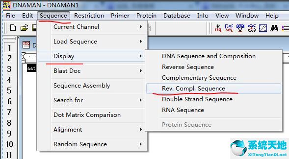 dna的正向和反向(dnaman如何得到反向互补序列)