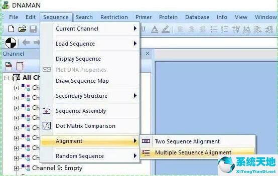 dnaman的图怎么导出(dnastar序列比对导出结果)