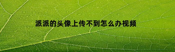 派派的头像上传不到怎么办视频(派派头像不显示怎么回事)