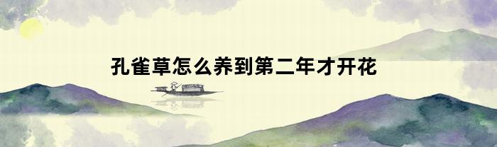 孔雀草怎么养到第二年才开花(孔雀草怎么养到第二年才开花结果)