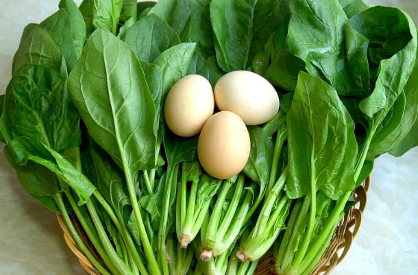 菠菜怕冻吗菠菜种子直接撒在地里种可以吗(菠菜能抗零下几度低温)