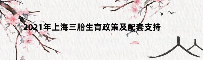 2023年上海三胎生育政策及配套支持措施(上海三胎有什么补助政策2021年)