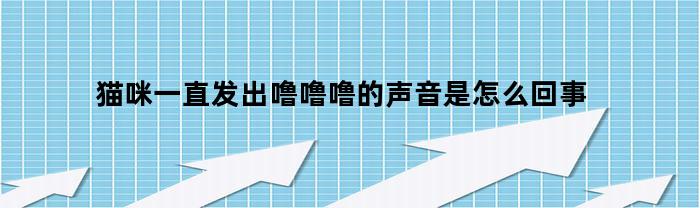 猫咪一直发出噜噜噜的声音是怎么回事(猫咪一直发出噜噜噜的声音是怎么回事儿)