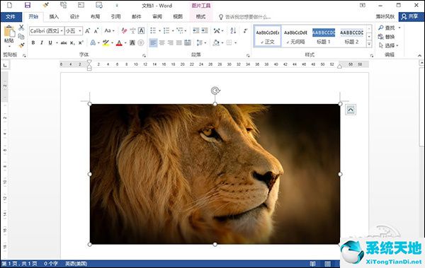 word修图教程 怎么使用word软件来进行修图操作(word文档怎样修图)
