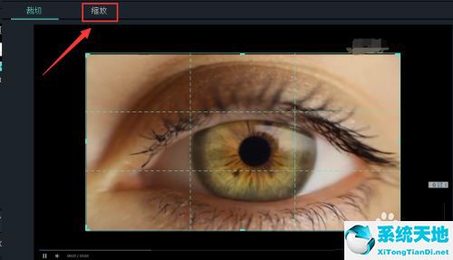 万兴喵影怎么给视频加滤镜(万兴喵影如何加转场)