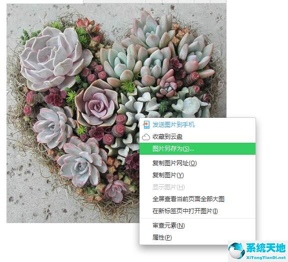 百度壁纸怎么下载(百度壁纸保存到相册的详细操作方法是)