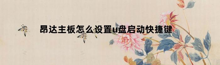 昂达主板怎么设置u盘启动快捷键(昂达主板怎么设置u盘启动快捷键视频)