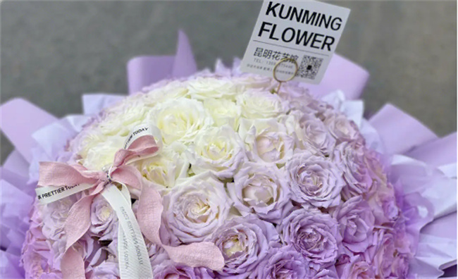 花语里什么表示不畏严寒象征坚韧不拔的精神