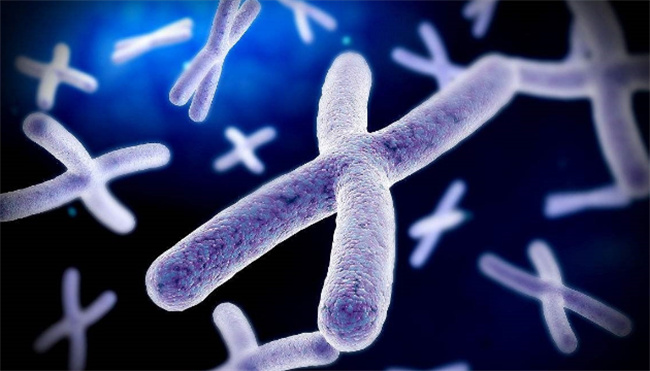 无创检查性染色体异常怎么办