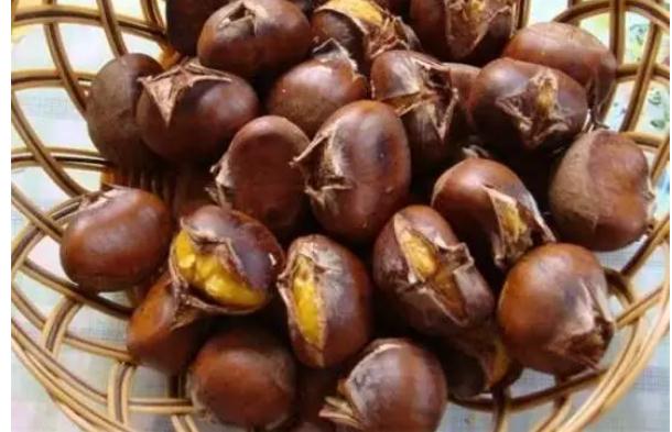 板栗怎么蒸好吃板栗是热性还是凉性(板栗蒸吃还是煮吃)