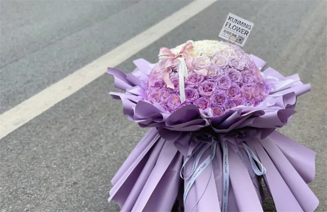 花语里什么表示不畏严寒象征坚韧不拔的精神