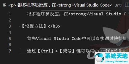 visual studio code调字体大小(visual studio code怎么把字体变大)