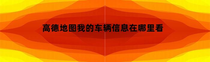 高德地图我的车辆信息在哪里看(高德地图的车辆信息在哪里输入)