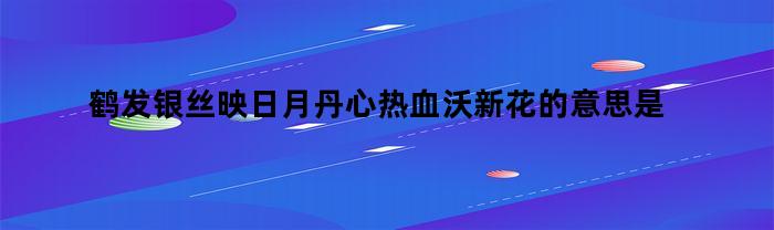 鹤发银丝映日月丹心热血沃新花的意思是什么(鹤发银丝映日月单曲循环)