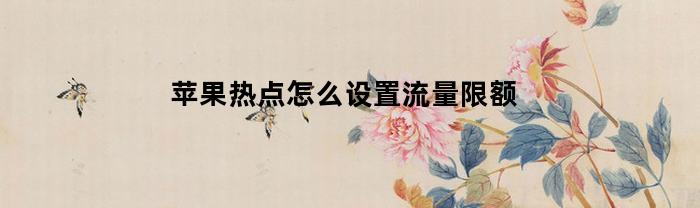 苹果热点怎么设置流量限额(苹果热点怎么设置流量限额使用)