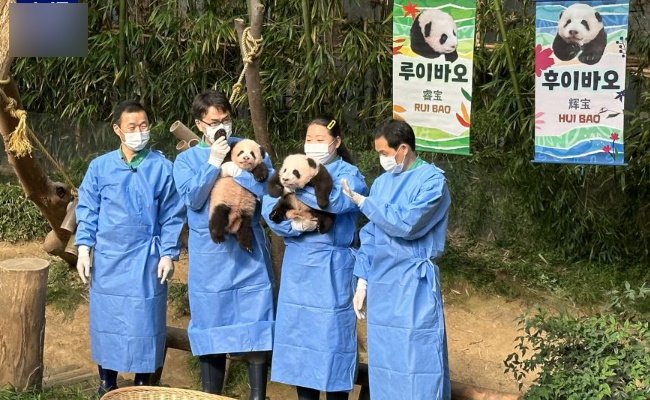 福娃的名字叫什么