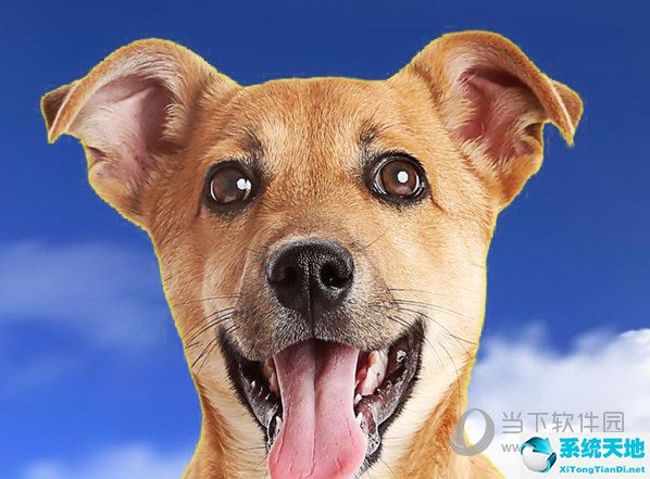 ps如何加天空素材(ps如何给天空加云)