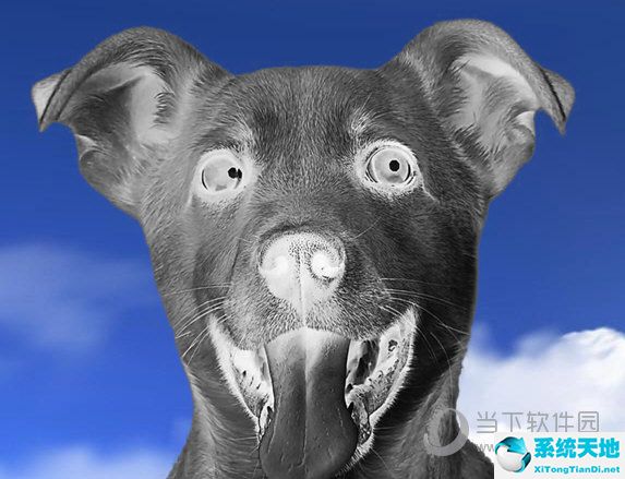 ps如何加天空素材(ps如何给天空加云)