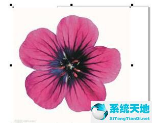 coreldraw去除背景色(coreldraw去掉底图)