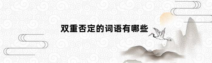 双重否定的词语有哪些(双重否定的词语有哪些四个字)