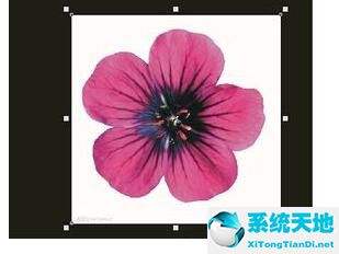 coreldraw去除背景色(coreldraw去掉底图)