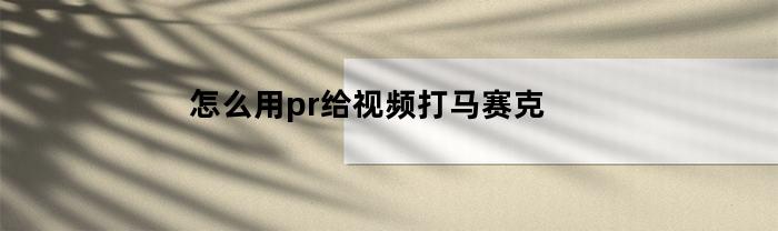 怎么用pr给视频打马赛克(pr怎么给视频局部打马赛克)