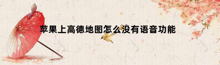 苹果上高德地图怎么没有语音功能(iphone自带高德地图语音怎么设置方法)