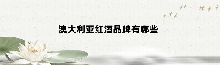 澳大利亚红酒品牌有哪些(澳大利亚著名的红酒品牌)