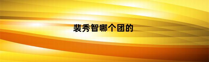 裴秀智哪个团的(裴秀智队友)