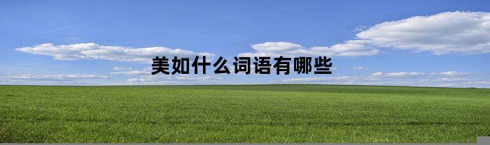 美如什么词语有哪些(美如什么的词语)